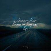 25 Summer Rain Sounds for Sleep and Spa