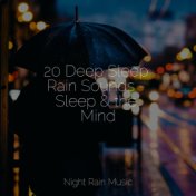 20 Deep Sleep Rain Sounds - Sleep & the Mind