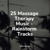 25 Massage Therapy Music - Rainstorm Tracks