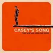 Casey's Song (Milk Flud Remix)