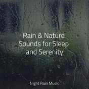 Rain & Nature Sounds for Sleep and Serenity