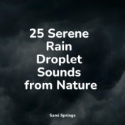 25 Serene Rain Droplet Sounds from Nature