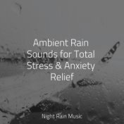 Ambient Rain Sounds for Total Stress & Anxiety Relief