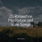 25 Relaxation Meditation and Rain Songs