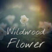 Wildwood Flower