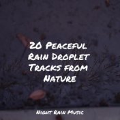 20 Peaceful Rain Droplet Tracks from Nature