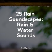 25 Rain Soundscapes: Rain & Water Sounds