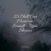 25 Chill Out Monsoon Sounds - Rain Shower