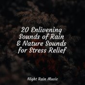 20 Enlivening Sounds of Rain & Nature Sounds for Stress Relief
