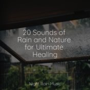 20 Sounds of Rain and Nature for Ultimate Healing