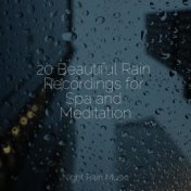 20 Beautiful Rain Recordings for Spa and Meditation