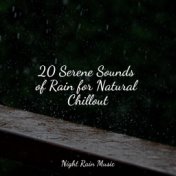 20 Serene Sounds of Rain for Natural Chillout