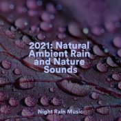 2021: Natural Ambient Rain and Nature Sounds