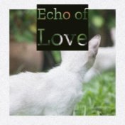 Echo of Love