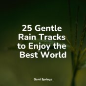 25 Gentle Rain Tracks to Enjoy the Best World
