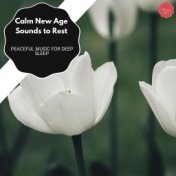 Calm New Age Sounds To Rest - Peaceful Music For Deep Sleep