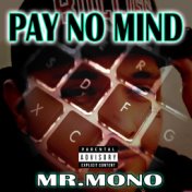 Pay No Mind