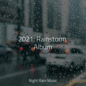 2021: Rainstorm Album