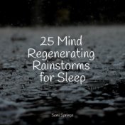 25 Mind Regenerating Rainstorms for Sleep