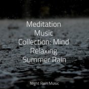 Meditation Music Collection: Mind Relaxing Summer Rain