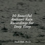 20 Beautiful Ambient Rain Recordings for Deep Sleep