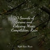 20 Sounds of Serene and Relaxing Music Compilation: Rain