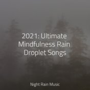 2021: Ultimate Mindfulness Rain Droplet Songs