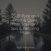 2021: Pure and Calm & Quiet Rain Sounds - Spa & Relaxing Music