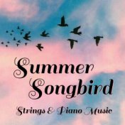 Summer Songbird Strings & Piano Music