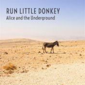 Run Little Donkey