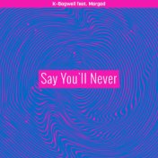 Say You'll Never