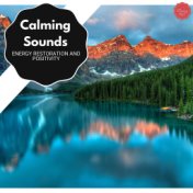 Calming Sounds - Energy Restoration And Positivity