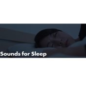 Sounds for Sleep: REM Deep Sleep, Sleep and Relaxation, Music to Help You Sleep