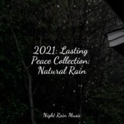 2021: Lasting Peace Collection: Natural Rain