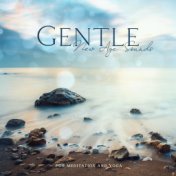 Gentle New Age Sounds for Meditation and Yoga Workout (Find Time for Meditation and Yoga Home Practice)