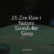 25 Zen Rain & Nature Sounds for Sleep