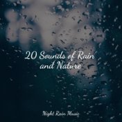 20 Sounds of Rain and Nature