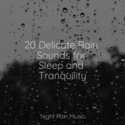 20 Delicate Rain Sounds for Sleep and Tranquility