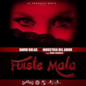 Fuiste Mala (feat. Industria Del Amor)