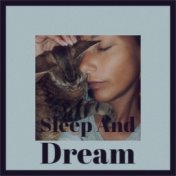 Sleep And Dream