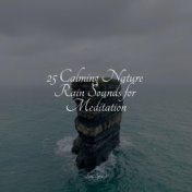 25 Calming Nature Rain Sounds for Meditation