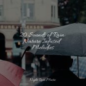 20 Sounds of Rain: Nature Infused Melodies