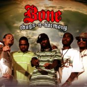 Thugz Alwayz; the Sequel (Hood Tales)