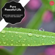 Pure Peaceful Life - Soothing Music For Deep Sleep And Insomnia