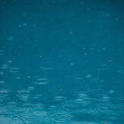 30 Ambient Rain Sounds for Peace and Tranquility