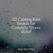 20 Calming Rain Sounds for Complete Stress Relief