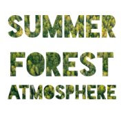 Summer Forest Atmosphere – Beautiful and Gentle Nature Sounds for Total Relaxation After a Long and Hard Week