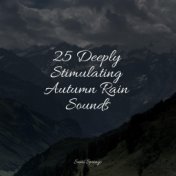 25 Deeply Stimulating Autumn Rain Sounds