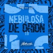 Nebulosa de Órion 1.0