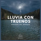 Lluvia con Truenos: Sonidos del Bosque